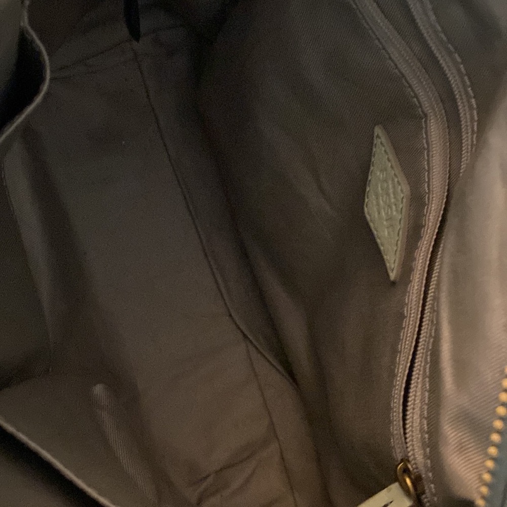Fossil Bag Spring Colors - Picture 3 of 6